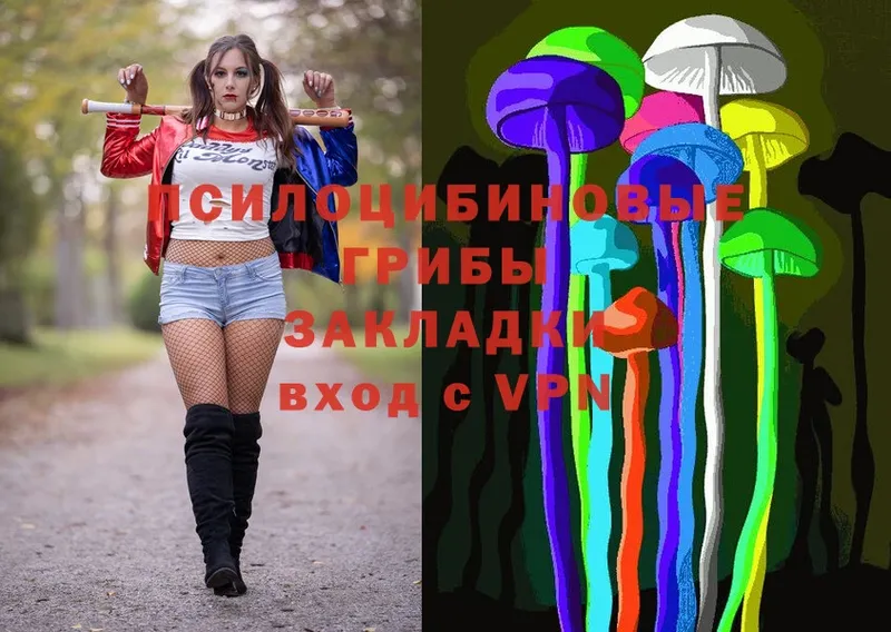 Псилоцибиновые грибы Cubensis  Нижняя Салда 